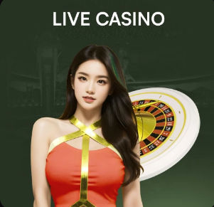 电讯报：备战高温，图赫尔团队协助国脚在家安装氧气舱等设备